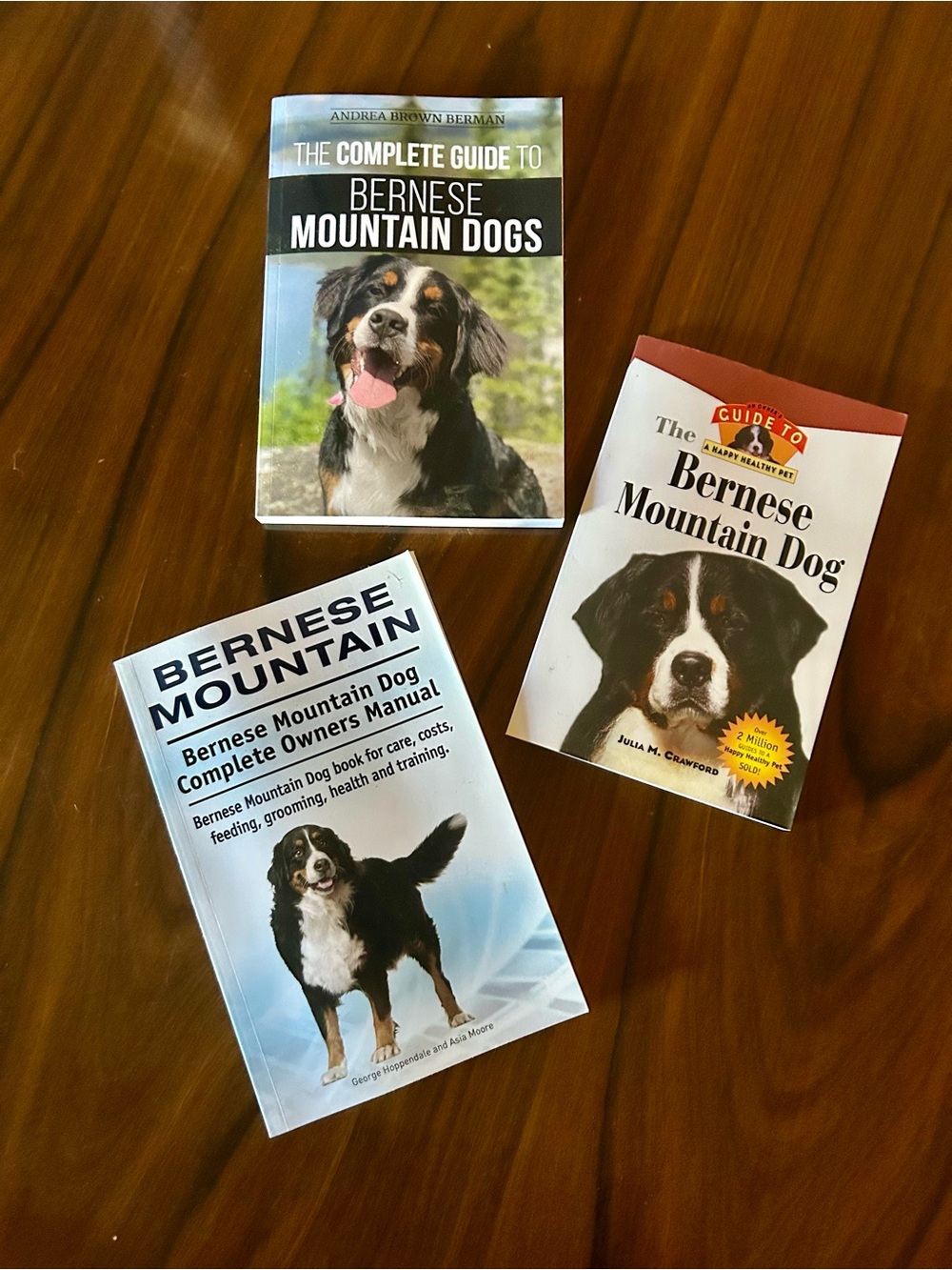 Three New Bernese Mountain Dog Owner's Guide - Blue and Black Cover